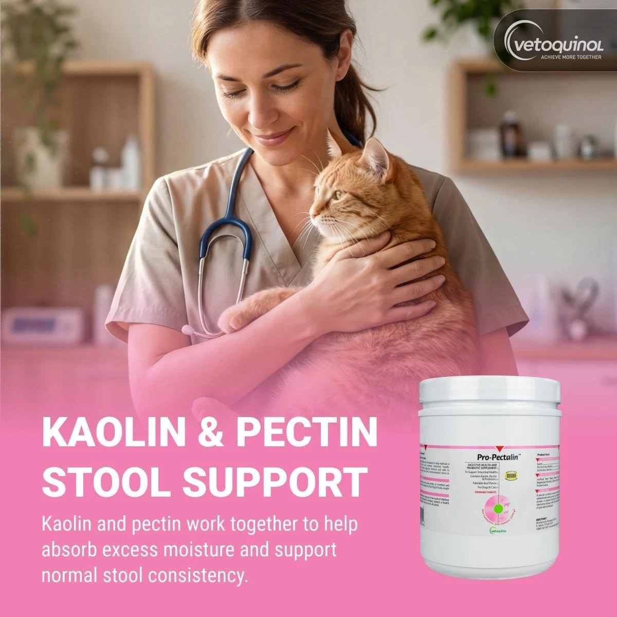Vetoquinol Pro-Pectalin Tablets 250 Tablets