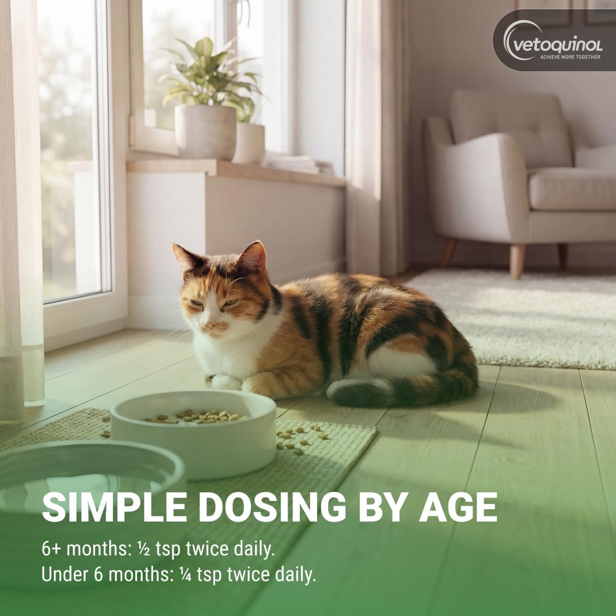 Vetoquinol Viralys Oral Gel for Cats 5oz
