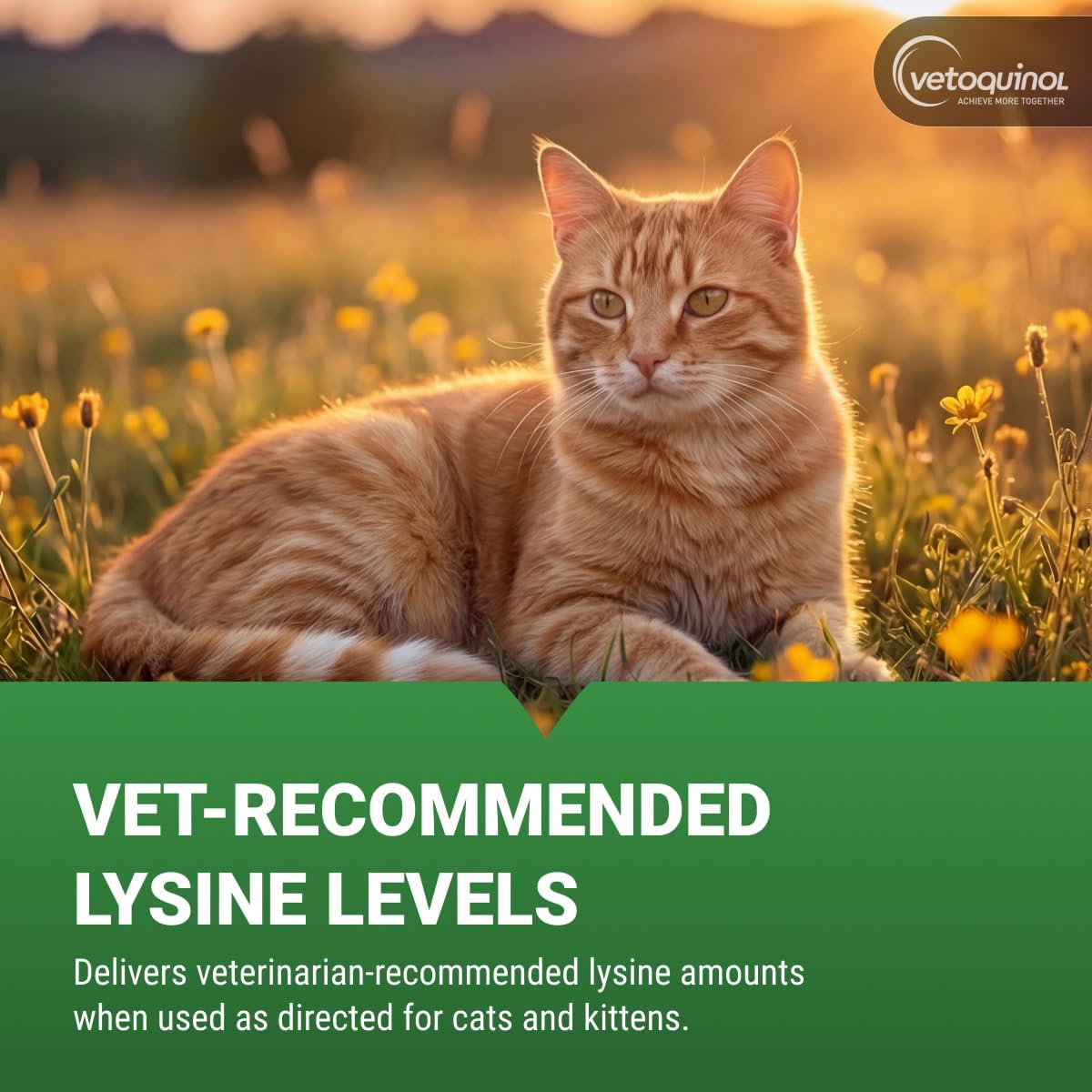 Vetoquinol Viralys Oral Gel for Cats 5oz
