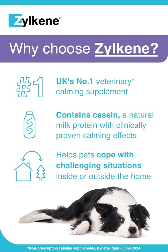 Vetoquinol Zylkene Supplement for Large Dogs 450mg 20 Capsules