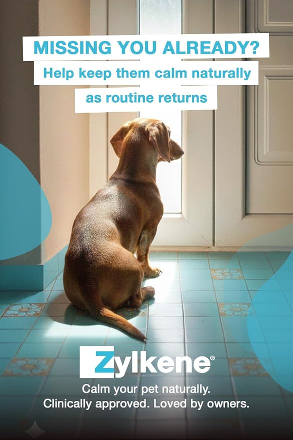 Vetoquinol Zylkene Supplement for Large Dogs 450mg 20 Capsules
