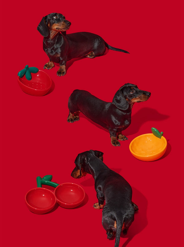 VETRESKA Cherry Ceramic Pet Bowl(NEW)
