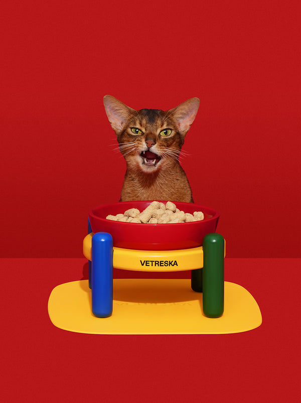 VETRESKA Chroma Pet Bowl & Mat Set (S)