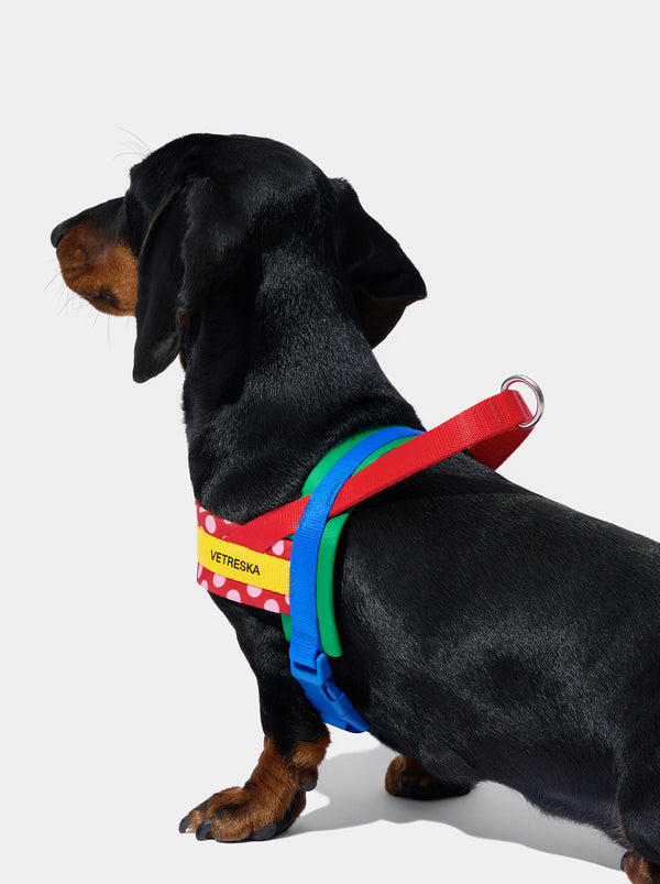 VETRESKA Chroma Pet Harness & Leash Set-Red (M)
