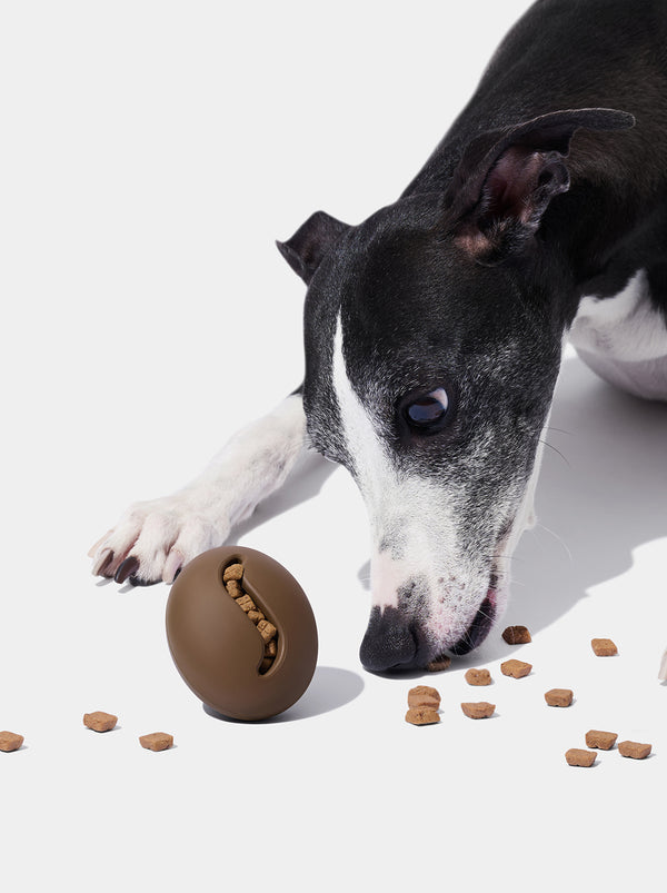 VETRESKA Coffee Pet Feeder Toy