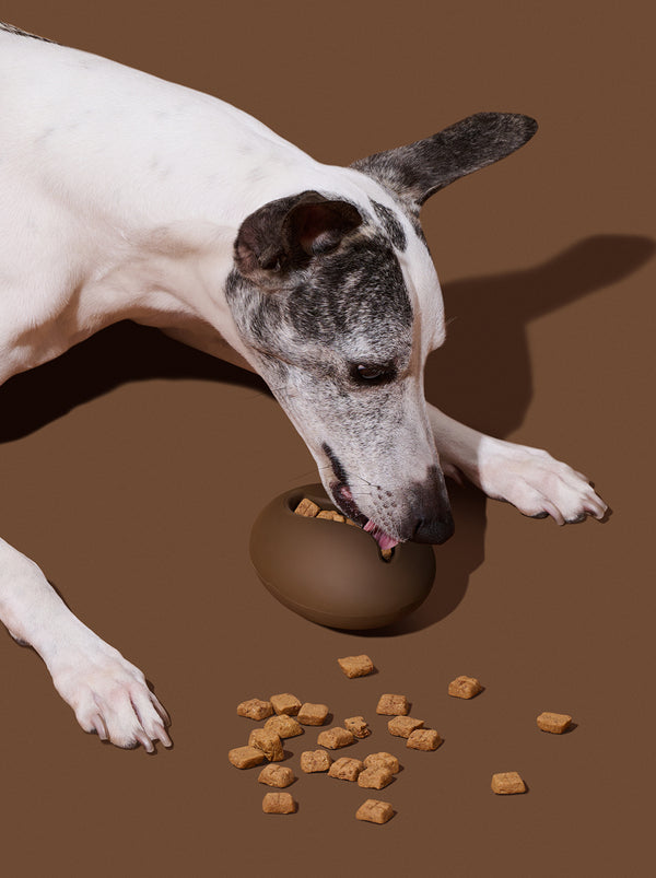 VETRESKA Coffee Pet Feeder Toy