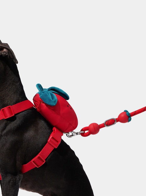 VETRESKA Connect Hands-Free Rope Leash for Pets (Strawberry)