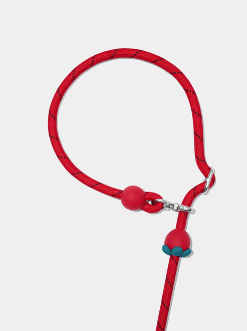 VETRESKA Connect Hands-Free Rope Leash for Pets (Strawberry)