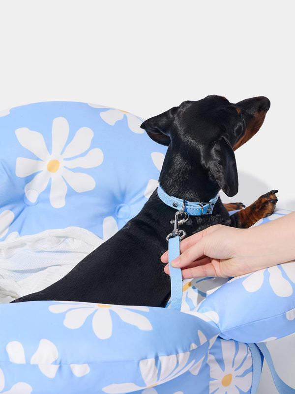 VETRESKA Daisy Car Seat Pet Carrier