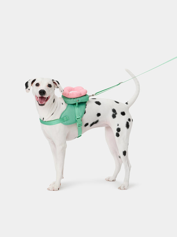 VETRESKA Flora Pet Backpack & Harness 3 in 1 Set (XXS)