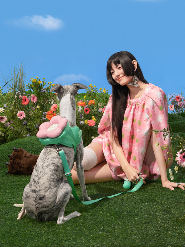 VETRESKA Flora Pet Backpack & Harness 3 in 1 Set (XXS)