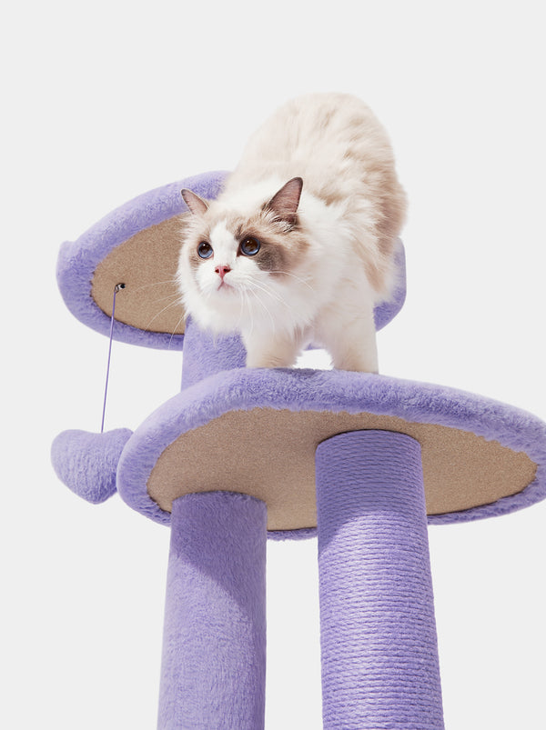VETRESKA Heartpurrple Cat Climber（Four Platforms)