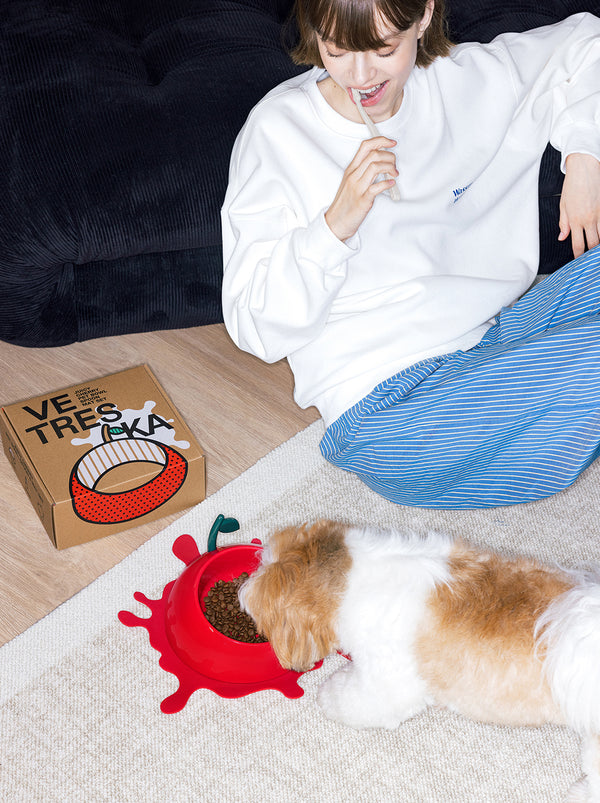 VETRESKA Juicy Cherry Pet Bowl, Spoon & Mat Set