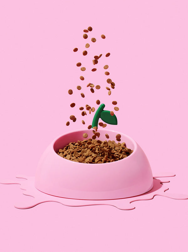 VETRESKA Juicy Peach Pet Bowl, Spoon & Mat Set