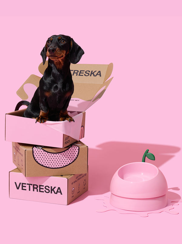 VETRESKA Juicy Peach Pet Bowl, Spoon & Mat Set