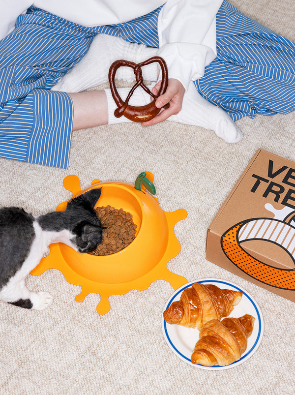 VETRESKA Juicy Tangerine Pet Bowl, Spoon & Mat Set