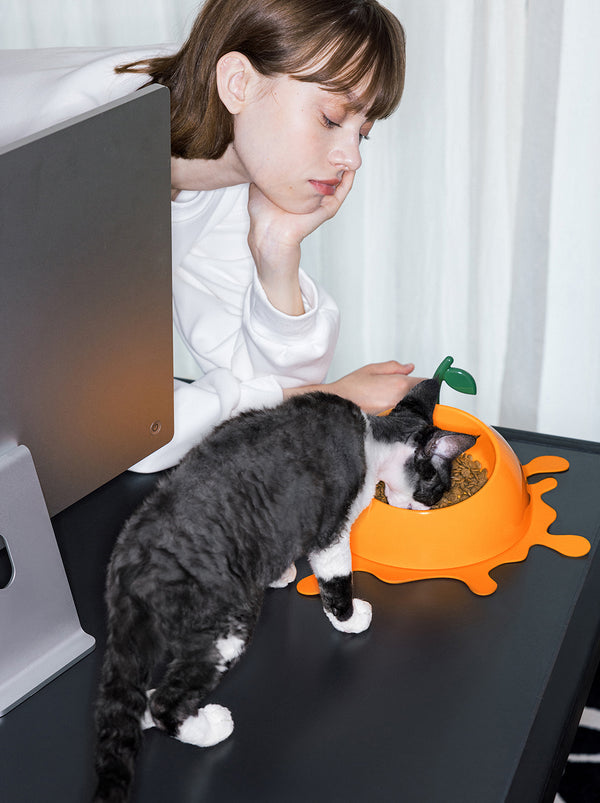 VETRESKA Juicy Tangerine Pet Bowl, Spoon & Mat Set