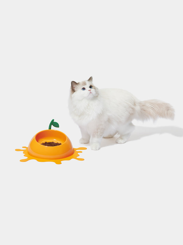 VETRESKA Juicy Tangerine Pet Bowl, Spoon & Mat Set