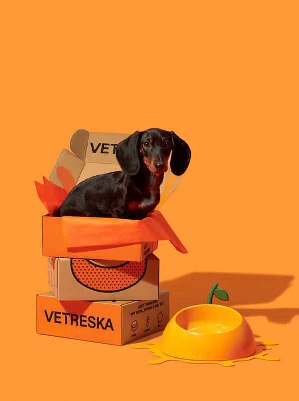 VETRESKA Juicy Tangerine Pet Bowl, Spoon & Mat Set