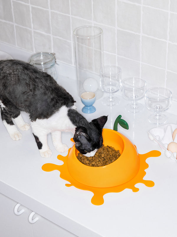 VETRESKA Juicy Tangerine Pet Bowl, Spoon & Mat Set