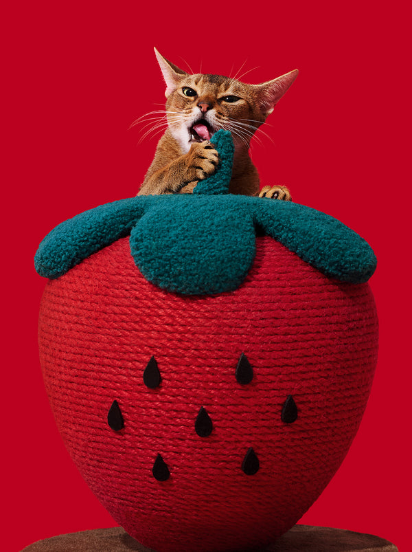 VETRESKA Strawberry Cat Scratching Ball