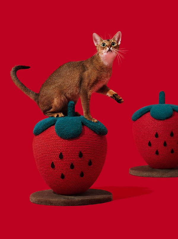 VETRESKA Strawberry Cat Scratching Ball