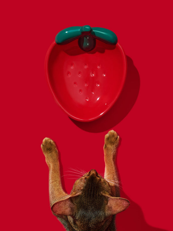 VETRESKA Strawberry Ceramic Pet Bowl