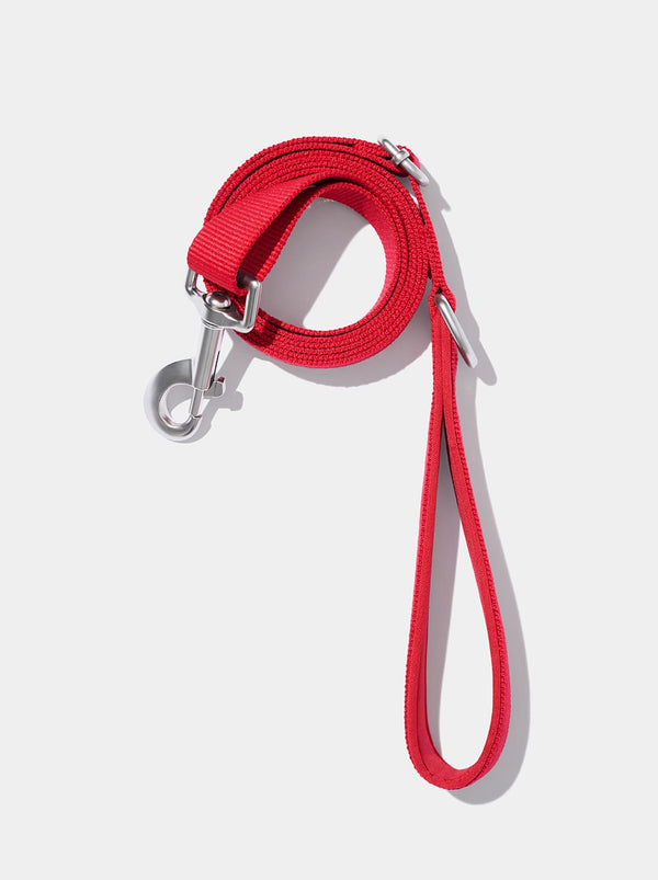 VETRESKA Strawberry Pet Backpack, Harness & Leash Set (XXS)