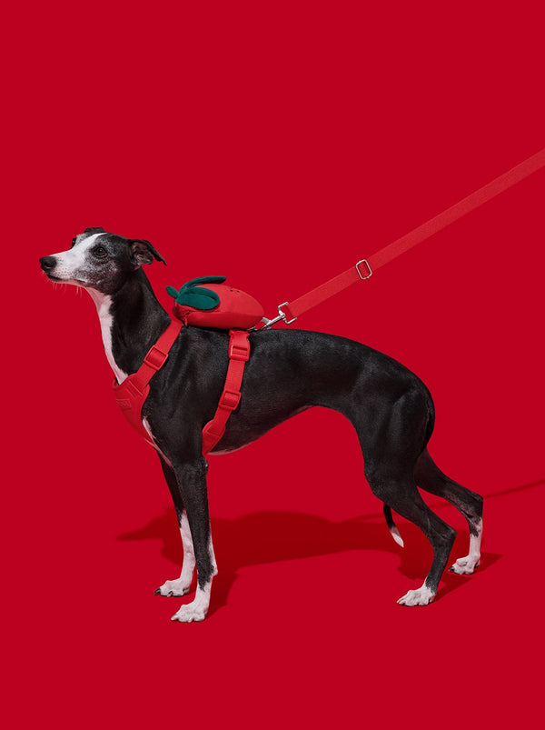 VETRESKA Strawberry Pet Backpack, Harness & Leash Set (XS)