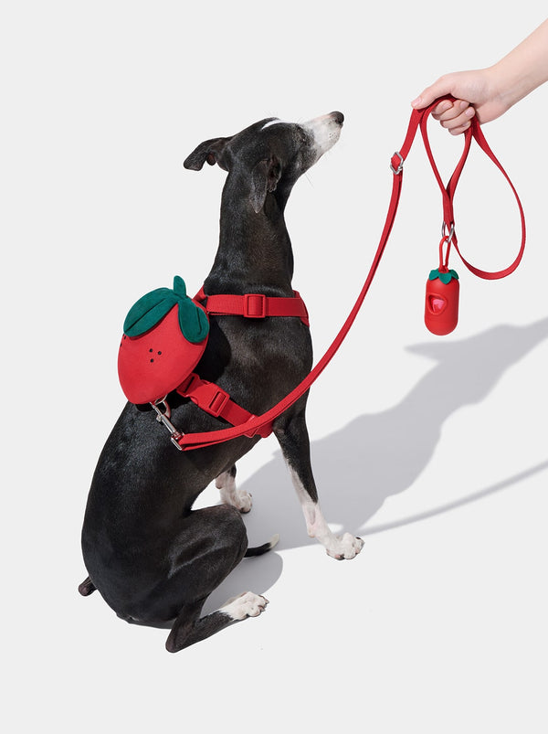 VETRESKA Strawberry Pet Backpack, Harness & Leash Set (S)