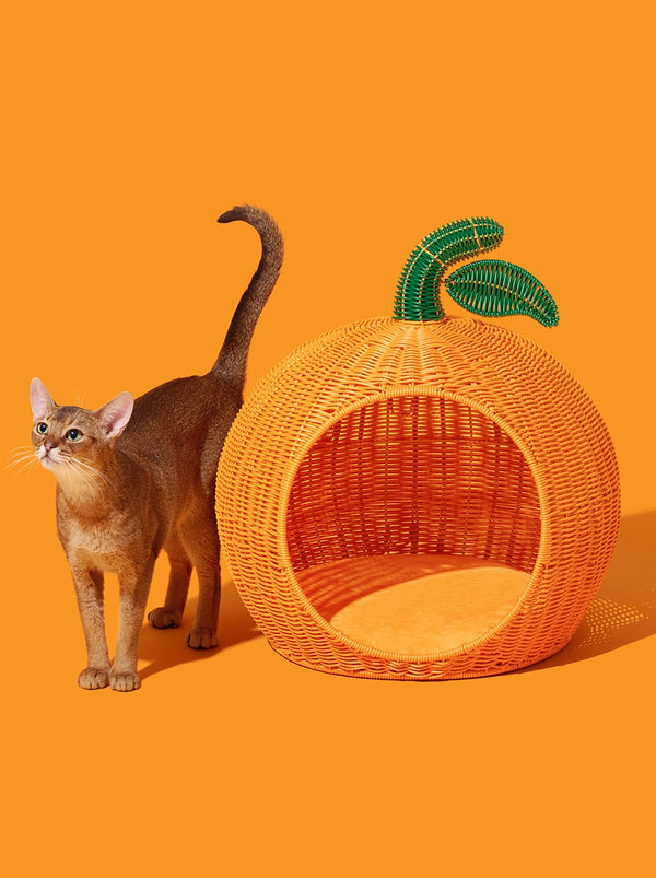 VETRESKA Tangerine Rattan Pet Bed