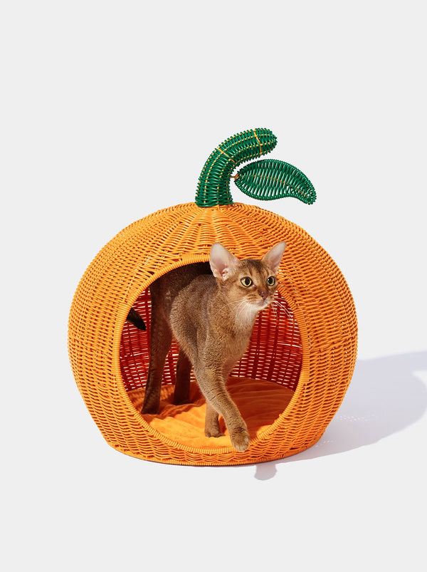 VETRESKA Tangerine Rattan Pet Bed