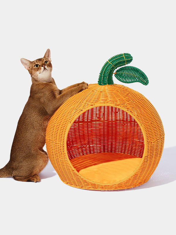 VETRESKA Tangerine Rattan Pet Bed
