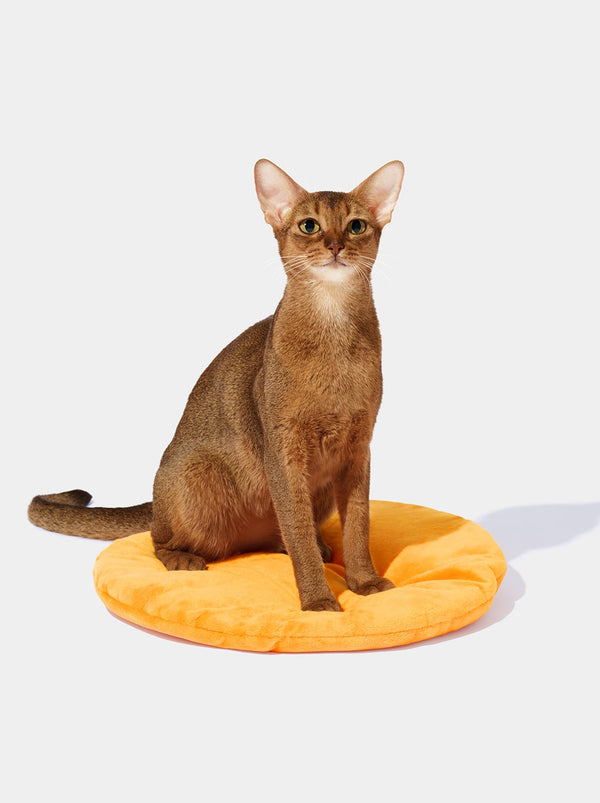 VETRESKA Tangerine Rattan Pet Bed