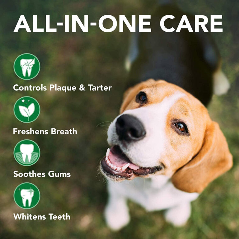 Vet's Best Advanced Dental Powder Dog 90G
