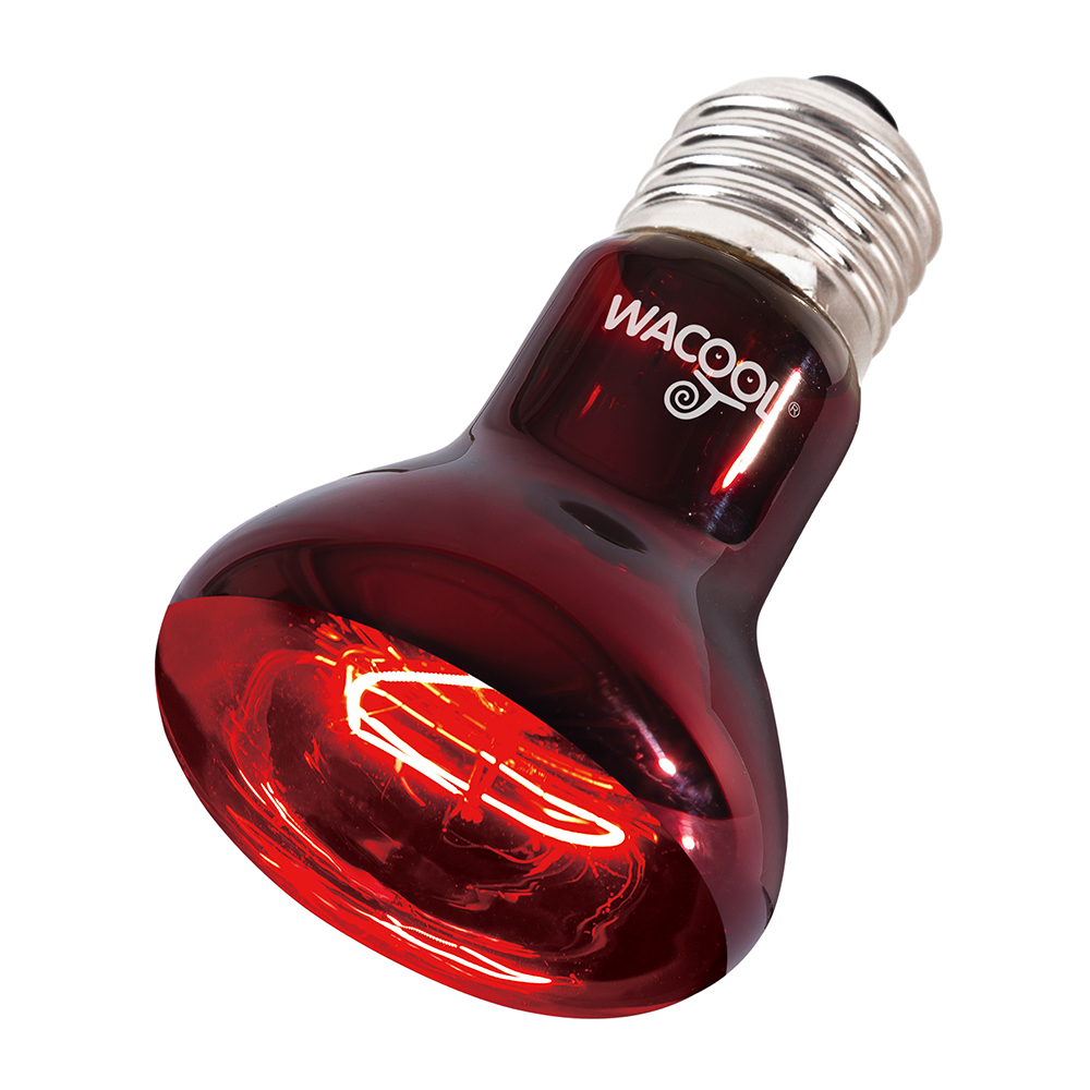Wacool Infrared Heat Spot Lamp 75W