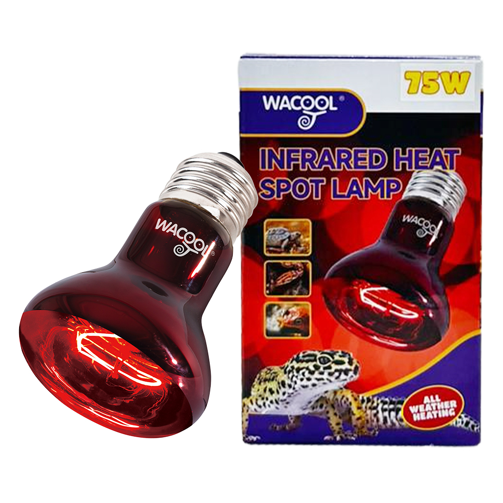 Wacool Infrared Heat Spot Lamp 75W