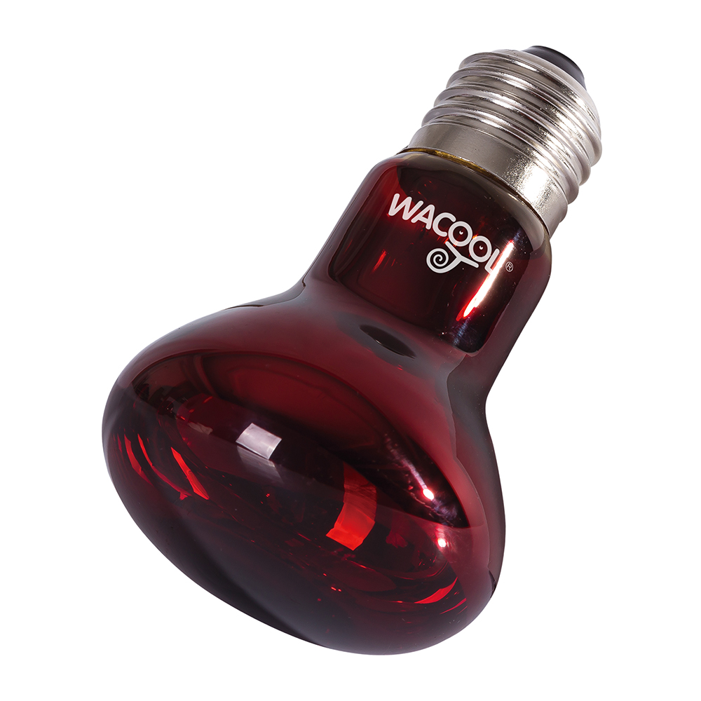 Wacool Infrared Heat Spot Lamp 75W