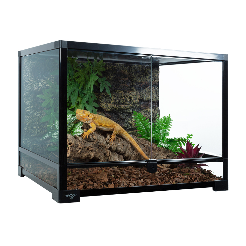 Wacool Knock Down Terrarium Swinging Door 60x45x32cm