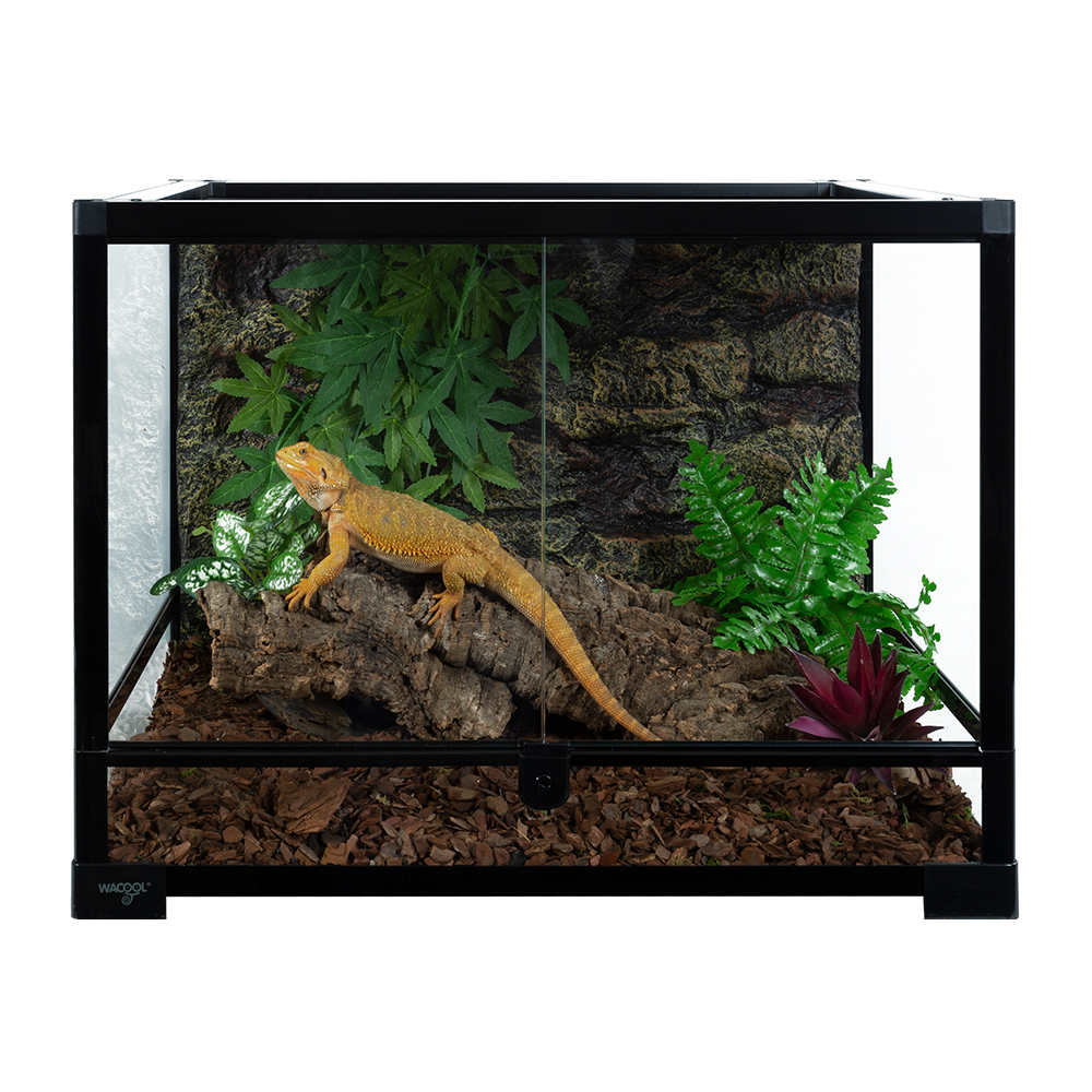 Wacool Knock Down Terrarium Swinging Door 60x45x32cm