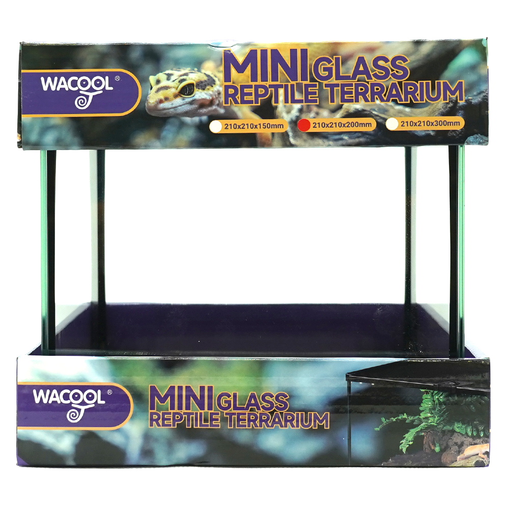 Wacool Mini Glass Reptile Terrarium 21x21x20cm