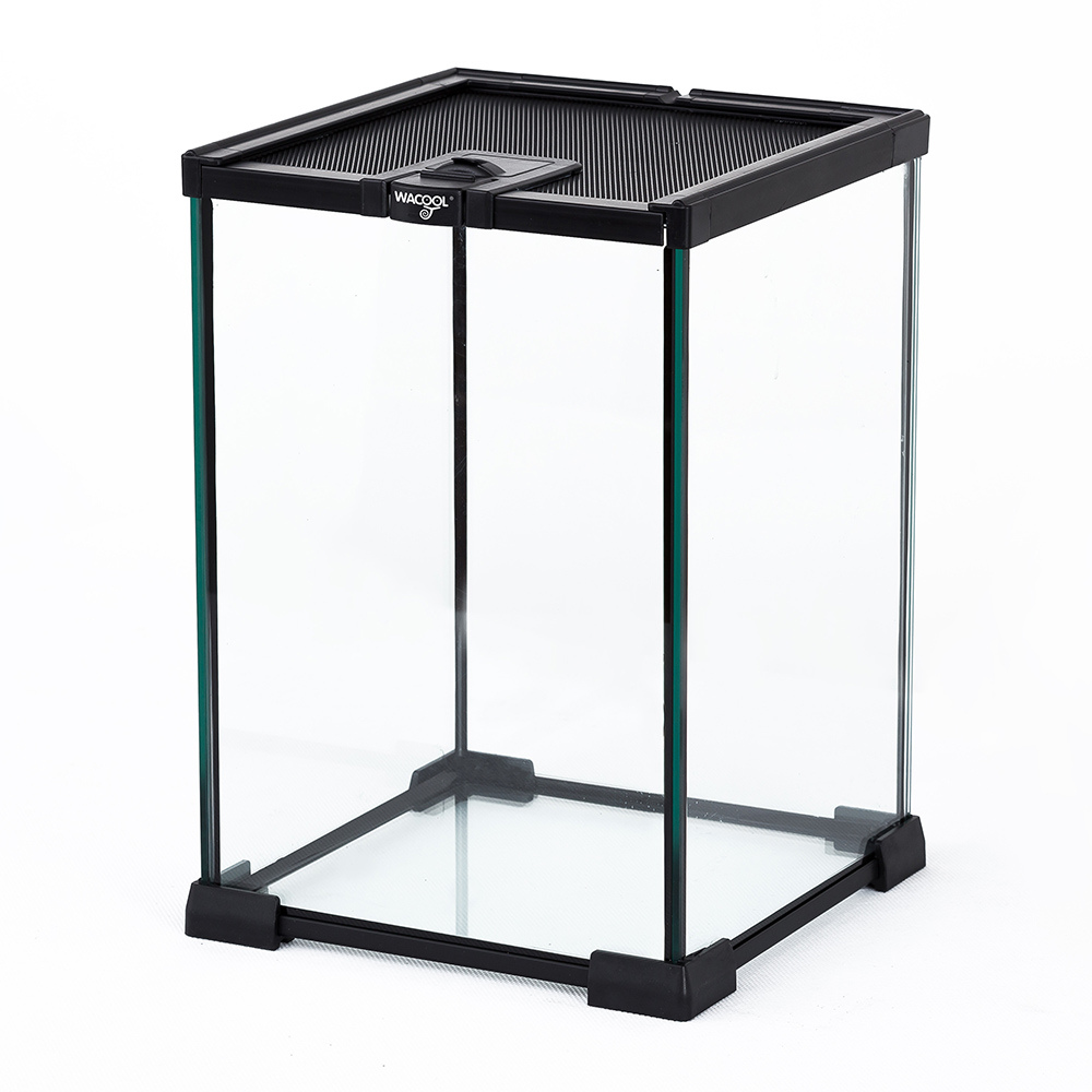 Wacool Mini Glass Reptile Terrarium 21x21x30cm