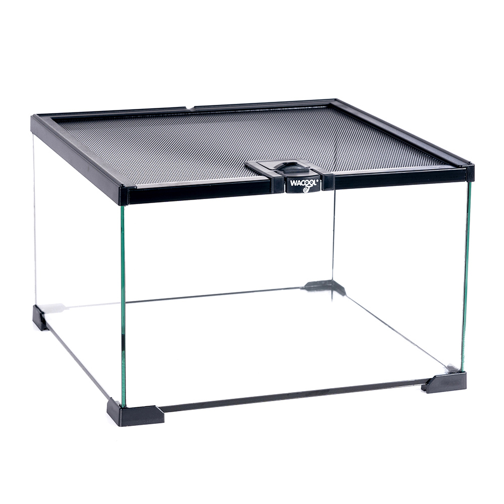 Wacool Mini Glass Reptile Terrarium 31x31x20cm