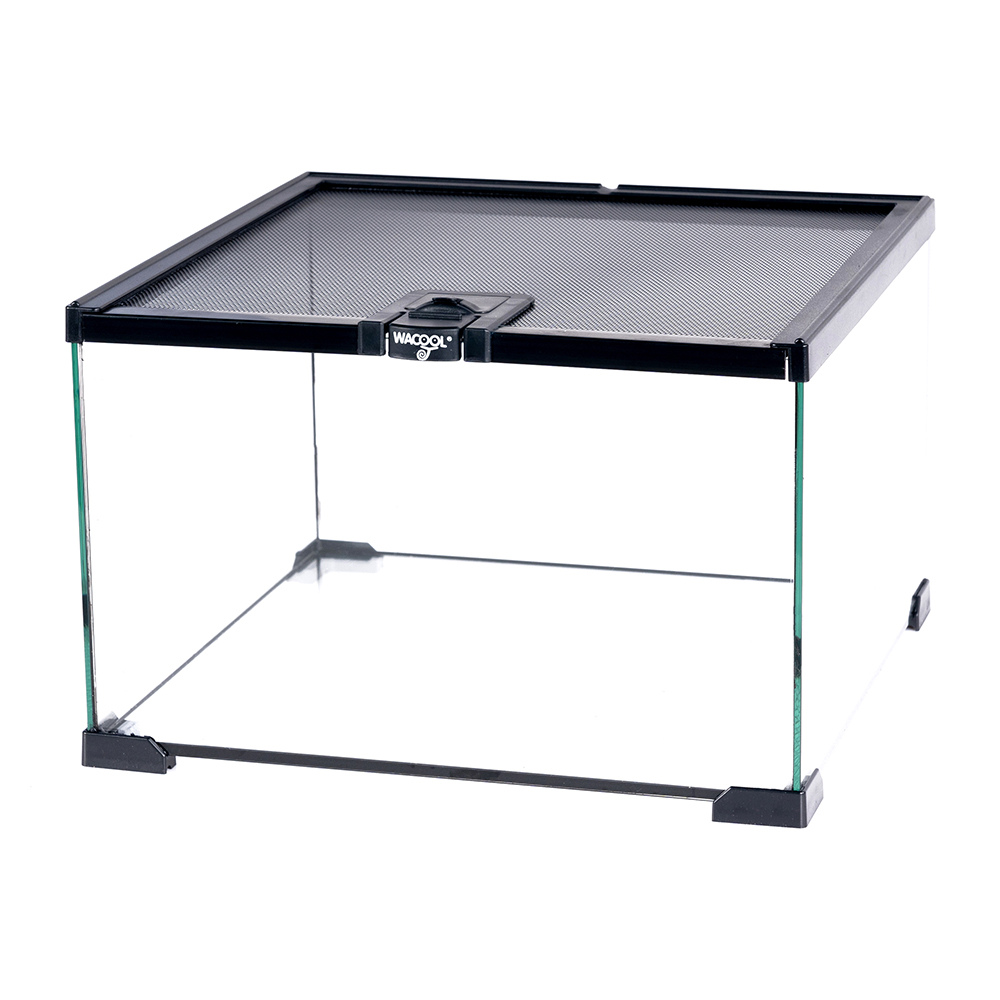 Wacool Mini Glass Reptile Terrarium 31x31x20cm