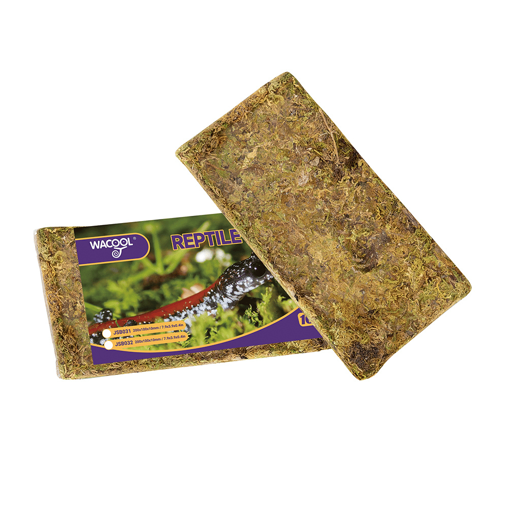 Wacool Natural Moss 100g