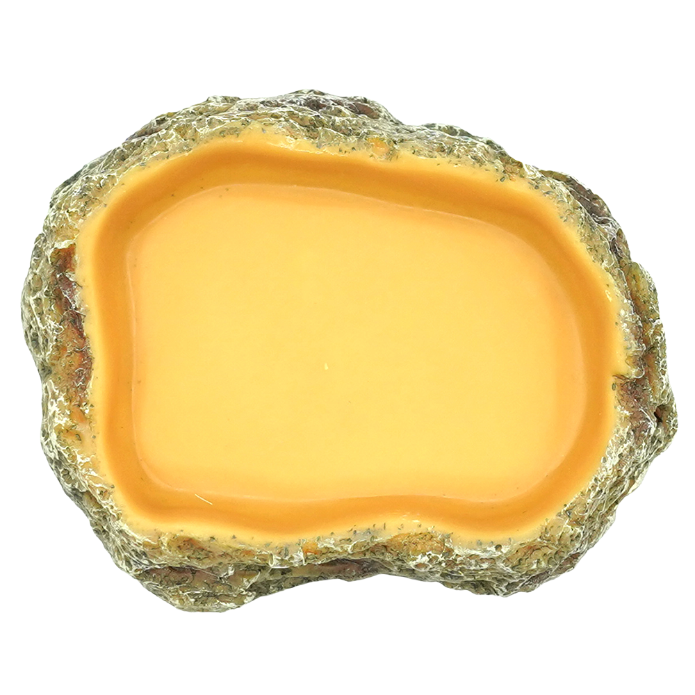 Wacool Reptile Food Dish XS