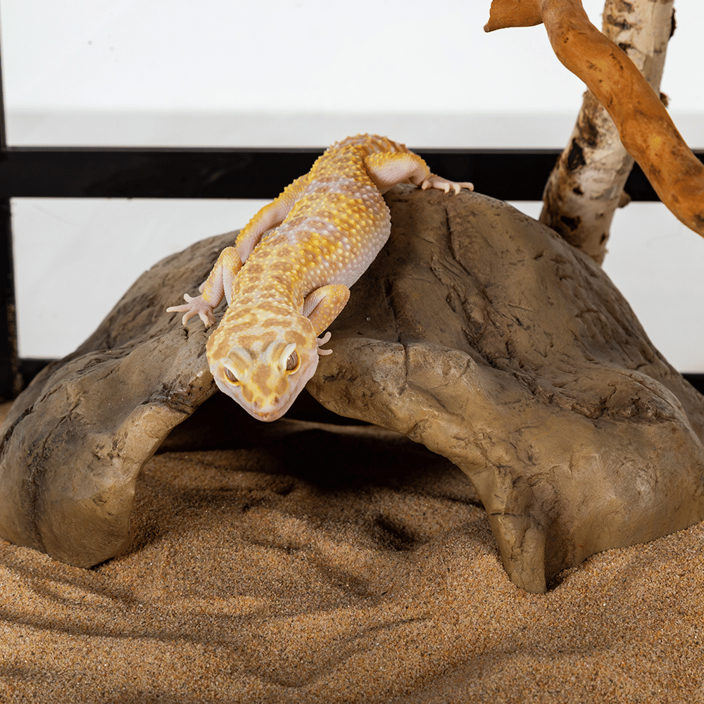 Wacool Rock Hide Cave M