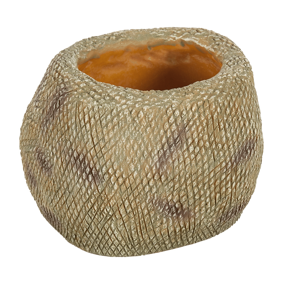 Wacool Snake Water Dish L
