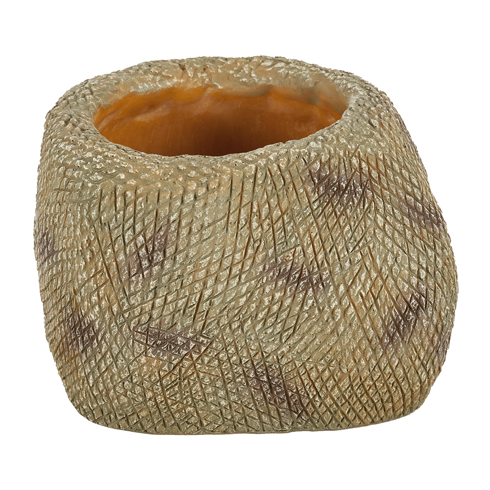 Wacool Snake Water Dish L