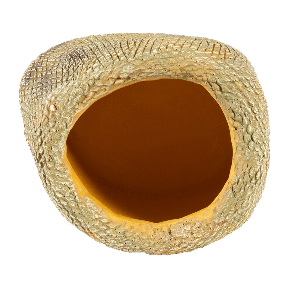 Wacool Snake Water Dish L